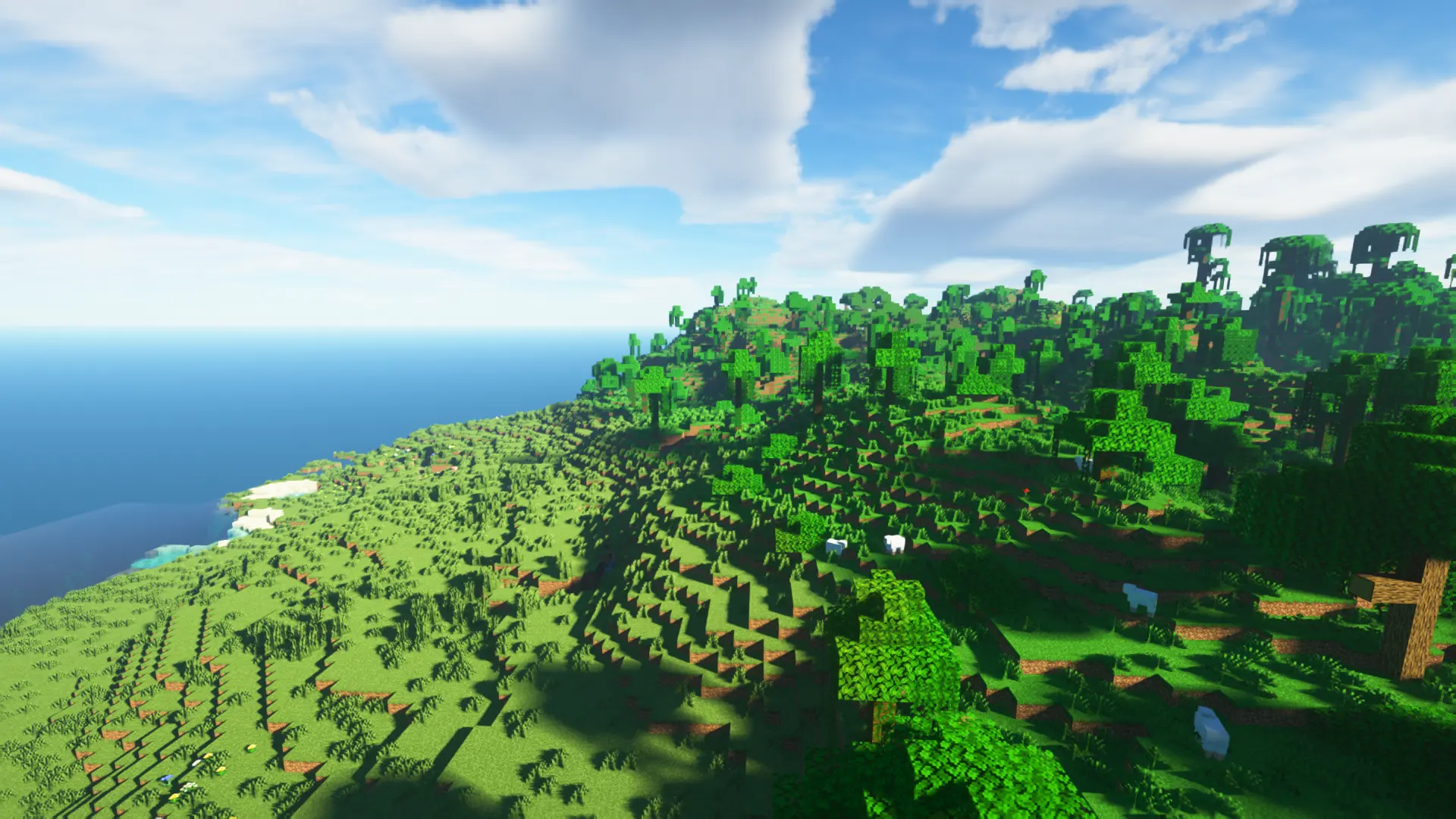 マイクラ 巨木だらけの ジャングルバイオーム の謎を解こう